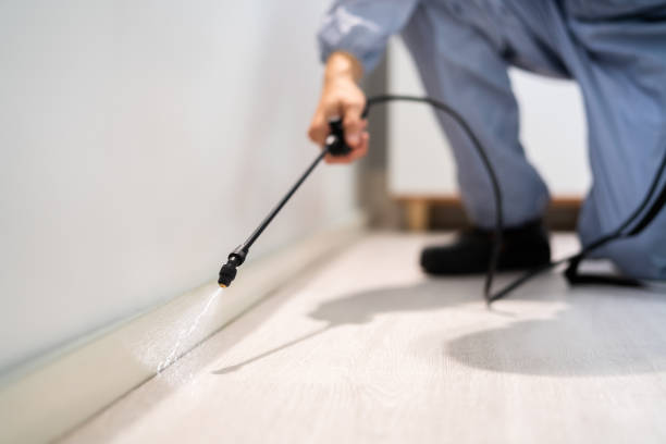 Licensed Pest Control service in Montvale, NJ - Show Me Pest Control