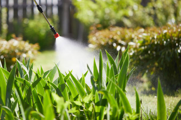 24/7 Emergency Mosquito Control experts in Montvale, NJ